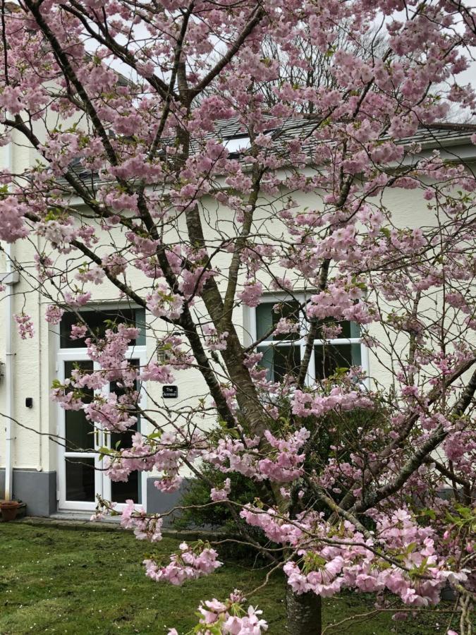 Апартаменты The Annexe, Tregoose House Ньюки Экстерьер фото